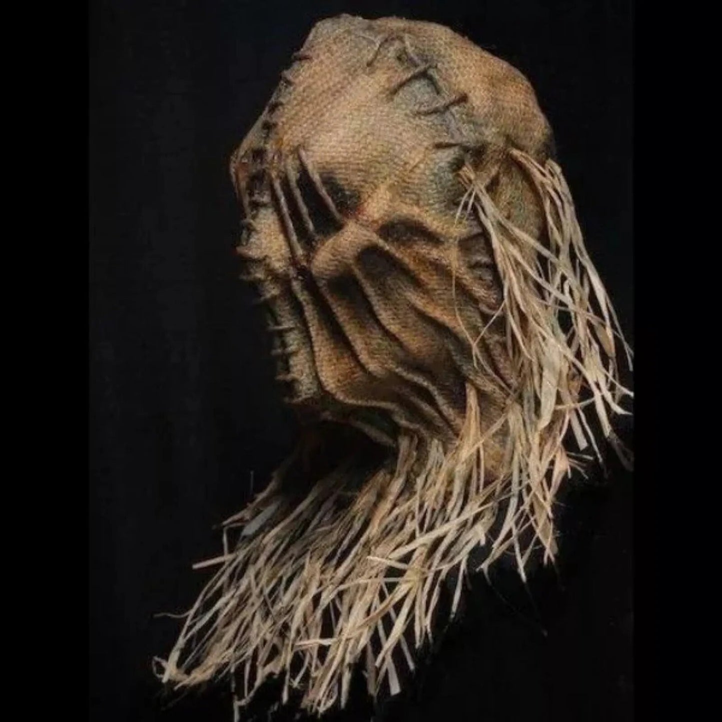 Scarecrow Mask