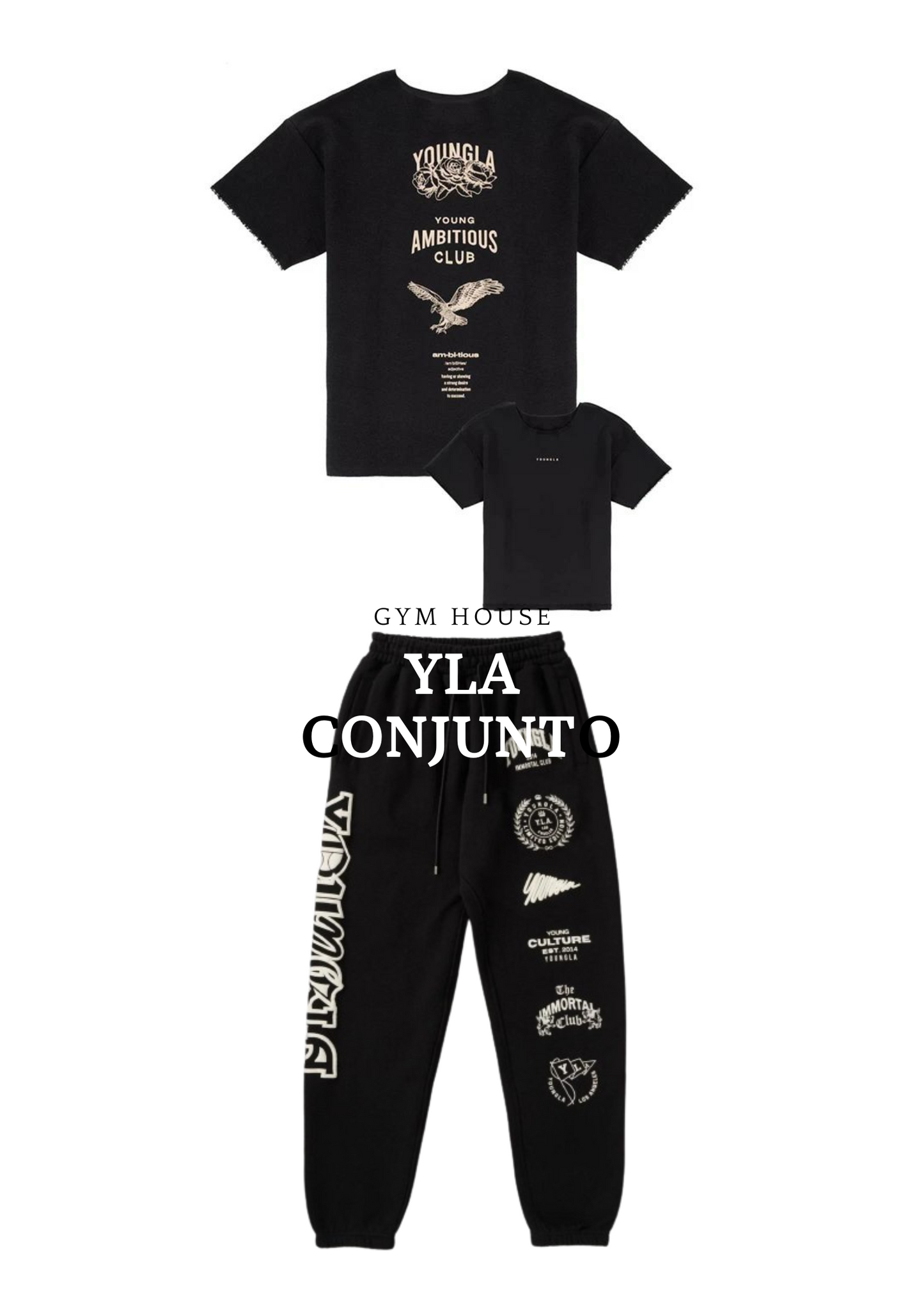 YLA ‐ CONJUNTO